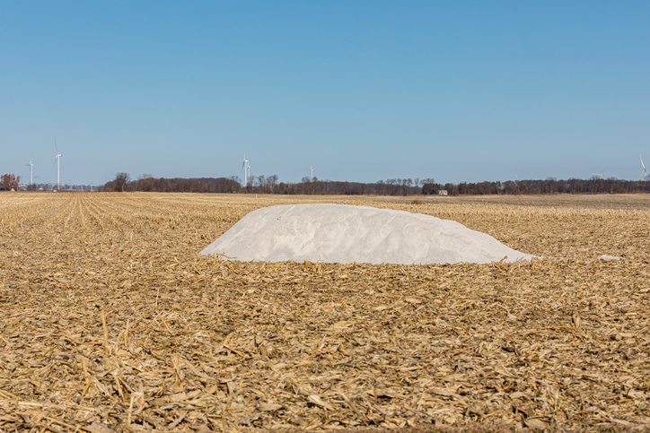 Wapnowanie pod uprawę kukurydzy